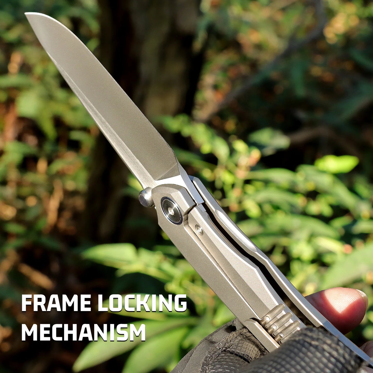 REMETTE Wild Species Premium M390, Titanium Pocket Folding EDC Knife